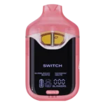 Boutiq Switch V4 | Bubblegum Runtz x Rainbow Beltz | 2G Dual Tank Einweg Vape