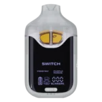 Boutiq Switch V4 | Frostiez x Purple Papaya | 2G Dual Tank Einweg Vape
