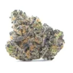 Apple Fritter