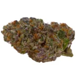 Gelatti Cookies Strain – Bild 3