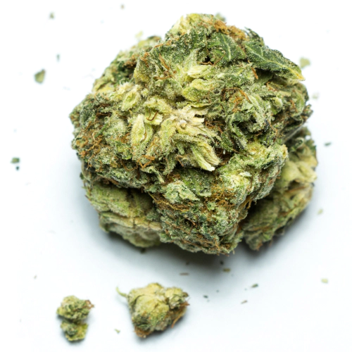 indica-dominant-hybrid_1040993470 Granddaddy Purple – Bild 1