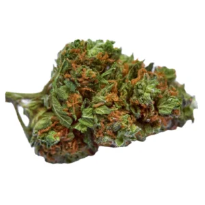 indica-dominant-hybrid_534528868-300x300-1 Bubba Kush – Bild 1