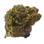 Gorilla Glue